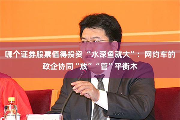 哪个证券股票值得投资 “水深鱼就大”：网约车的政企协同“放”“管”平衡木
