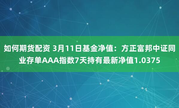 如何期货配资 3月11日基金净值：方正富邦中证同业存单AAA指数7天持有最新净值1.0375