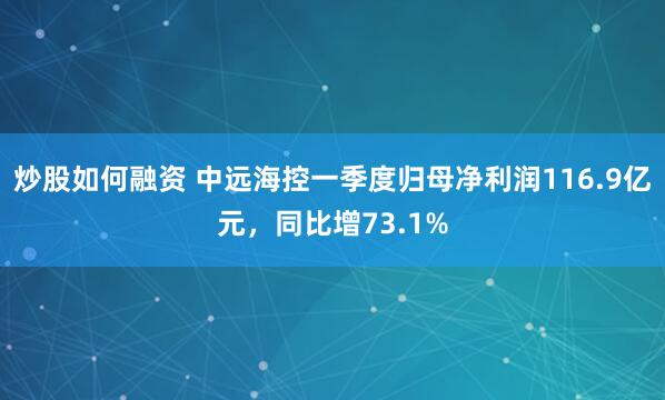 炒股如何融资 中远海控一季度归母净利润116.9亿元，同比增73.1%
