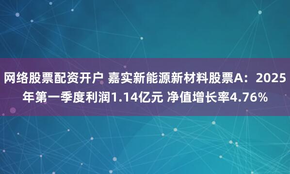网络股票配资开户 嘉实新能源新材料股票A：2025年第一季度利润1.14亿元 净值增长率4.76%