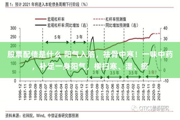 股票配债是什么 阳气入筋，祛骨中寒！一味中药，补足一身阳气，横扫寒、湿、瘀