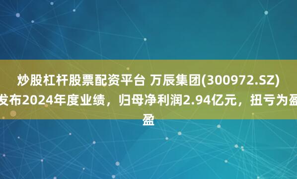 炒股杠杆股票配资平台 万辰集团(300972.SZ)发布2024年度业绩，归母净利润2.94亿元，扭亏为盈