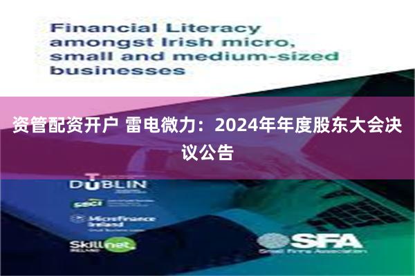 资管配资开户 雷电微力：2024年年度股东大会决议公告