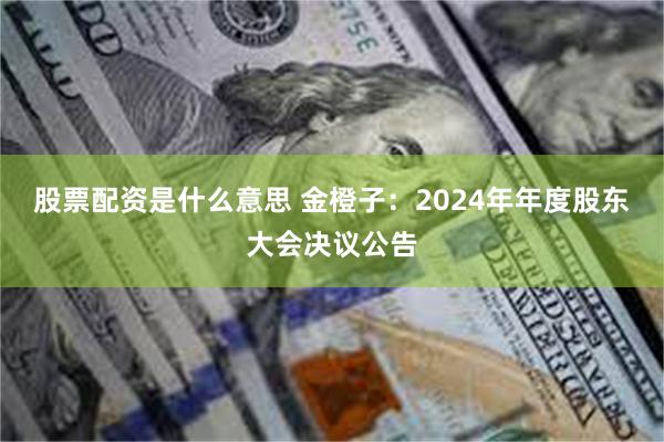 股票配资是什么意思 金橙子：2024年年度股东大会决议公告