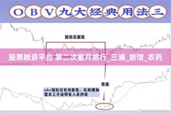 股票融资平台 第二次蜜月旅行_三浦_旅馆_农药