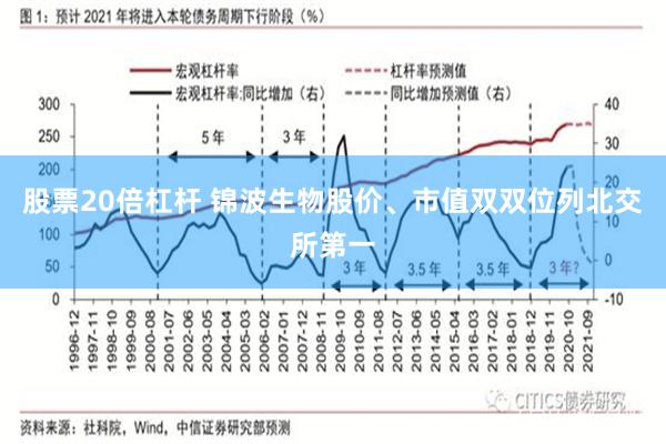 股票20倍杠杆 锦波生物股价、市值双双位列北交所第一